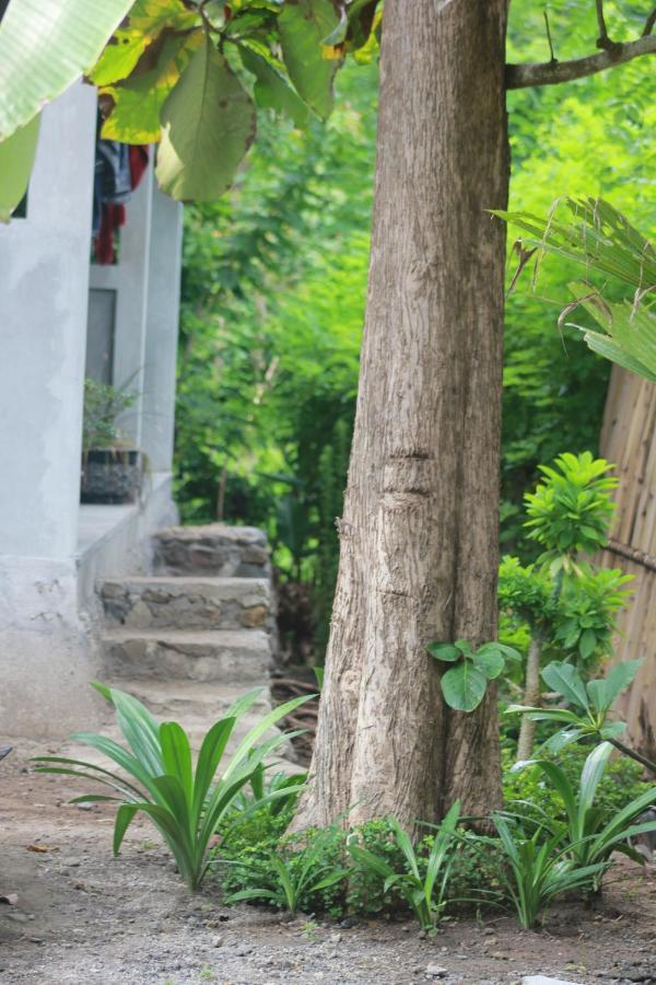 شقة Rimba Bungalow Kuta  المظهر الخارجي الصورة